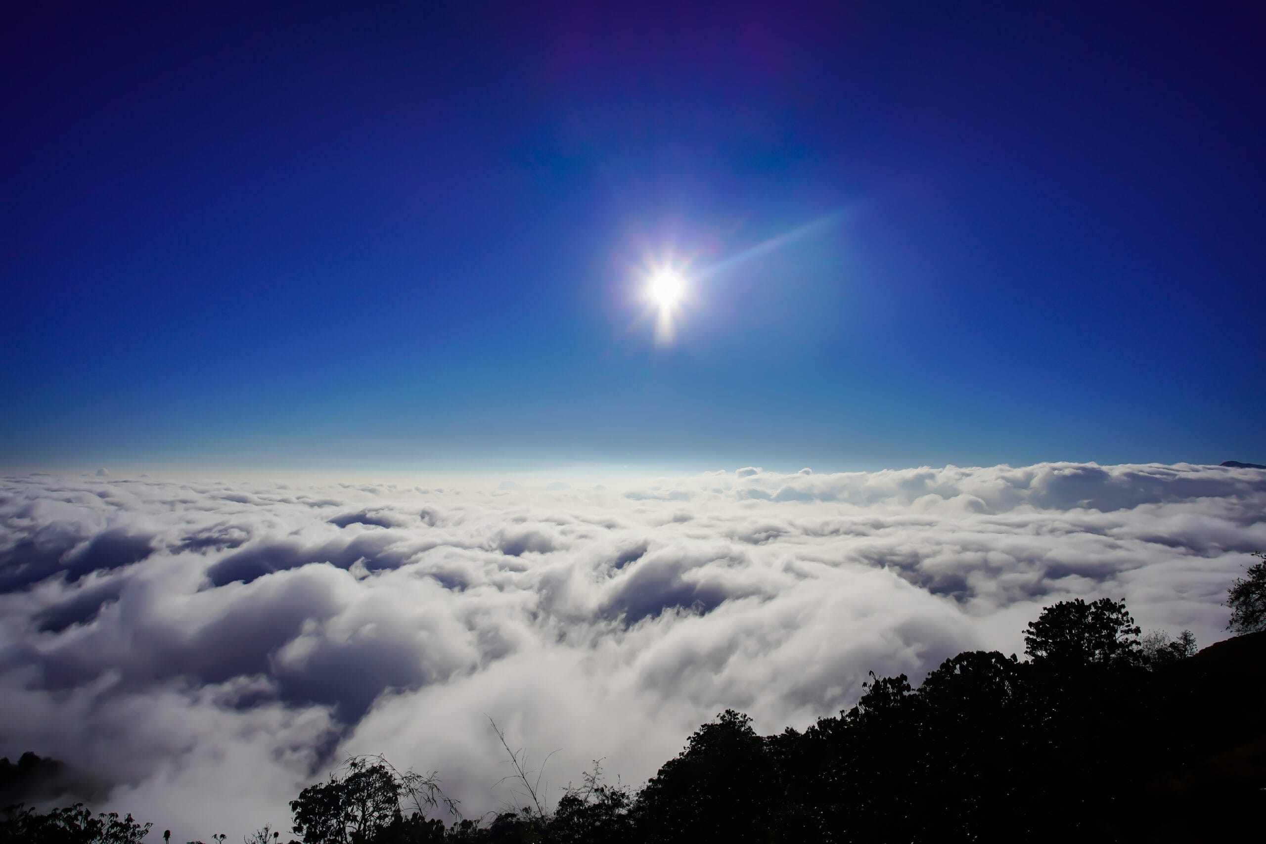 Ghorepani PoonHill Trek- 8D