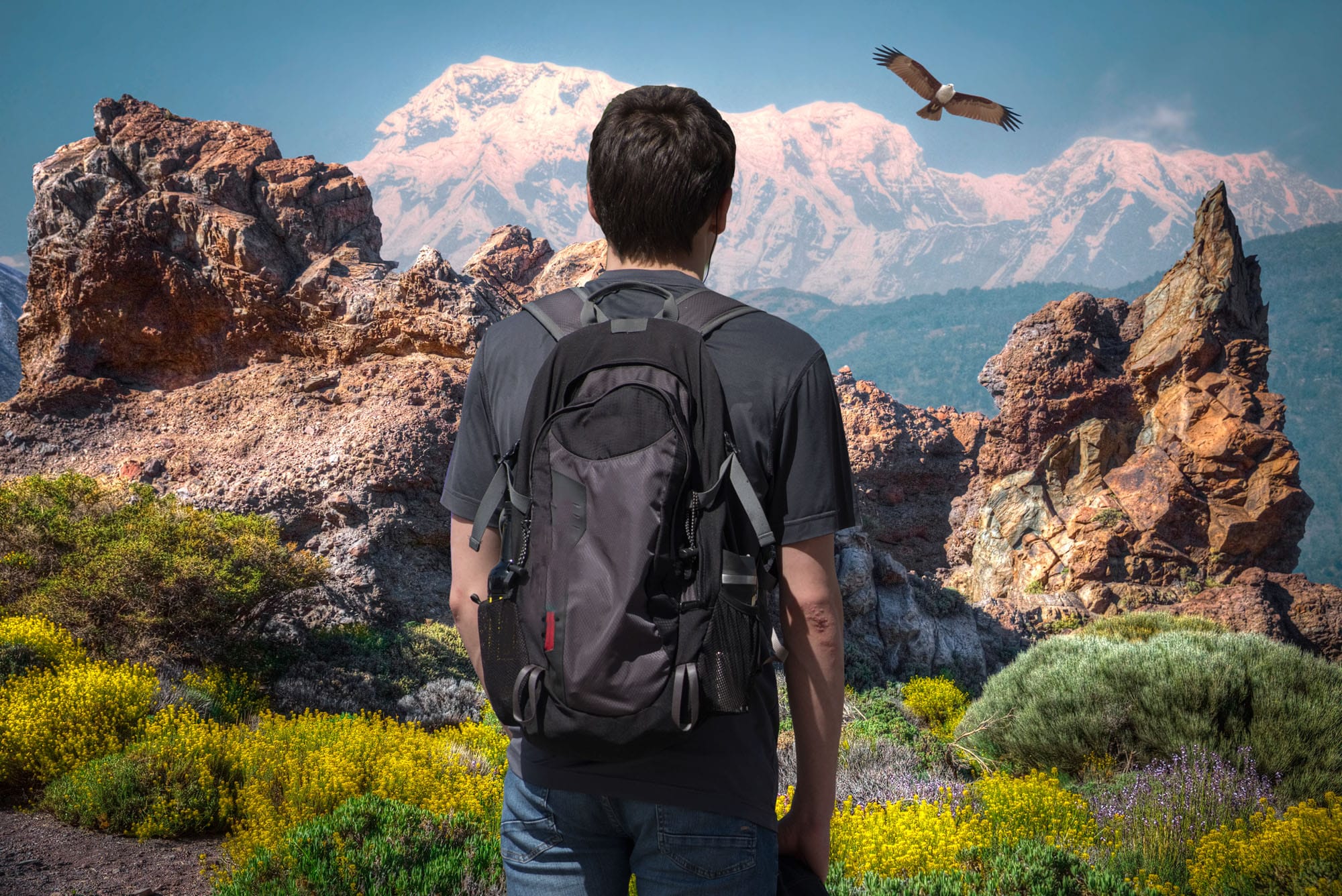 Top Short Treks in Nepal for Time-Sensitive Travelers