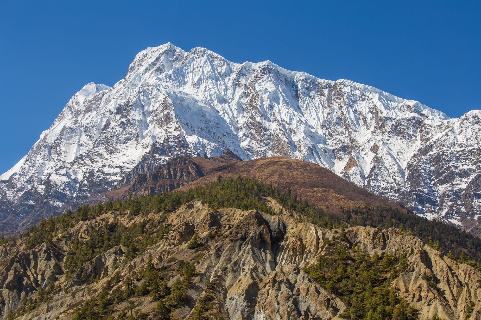 Annapurna Helicopter Tour - 1 D