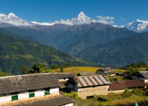 Dhampus Peak Climbing - 19D