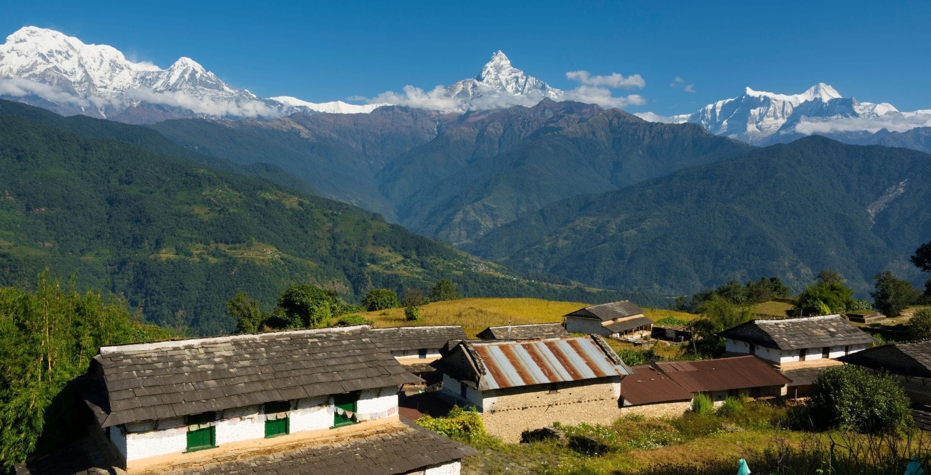 Dhampus Peak Climbing - 19D