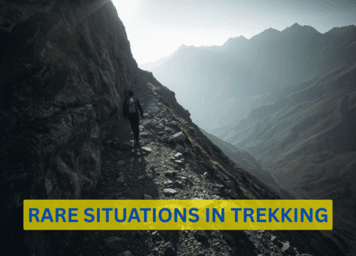 Rare Situations in Trekking: What Every Adventurer Should Know