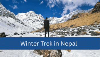 Winter Trek in Nepal: Where Snowy Trails Meet Epic Magic 3 Winter Trek in Nepal: Where Snowy Trails Meet Epic Magic