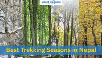 Best Trekking Seasons in Nepal: When to Plan Your Adventure 5 Best Trekking Seasons in Nepal: When to Plan Your Adventure