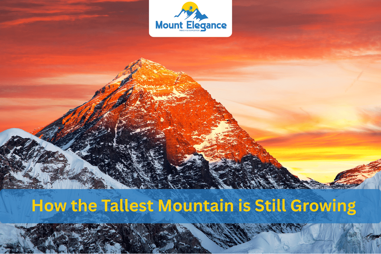tallest mountain - mount everest