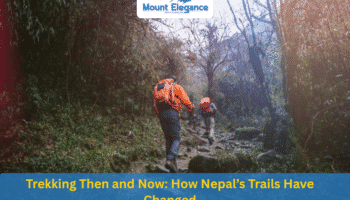 Trekking Then and Now: How Nepal’s Trails Have Changed (1990 vs 2025) 6 Trekking Then and Now: How Nepal’s Trails Have Changed (1990 vs 2025)