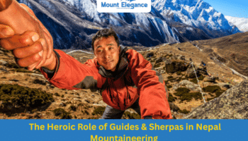 Unveiled: The Heroic Role of Guides & Sherpas in Nepal Mountaineering